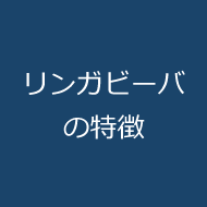 リンガビーバの特徴